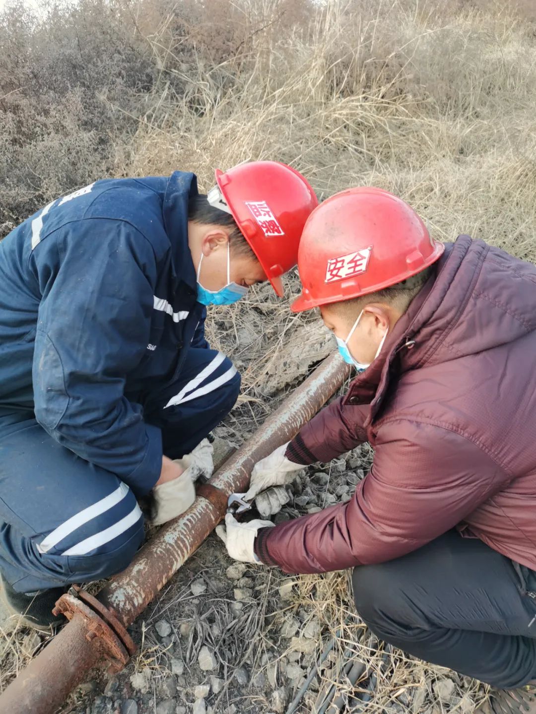 微信图片_20221206105026.jpg