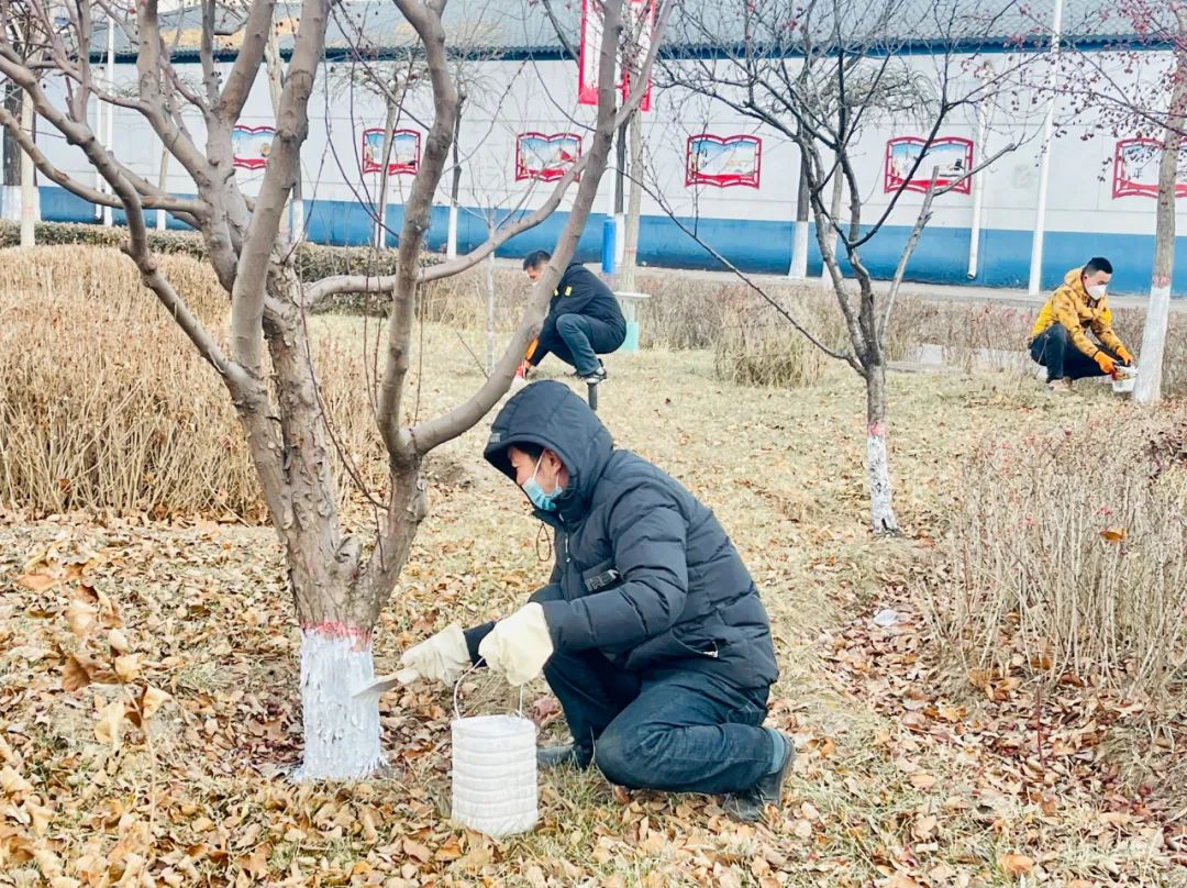 微信图片_20221228091529.jpg